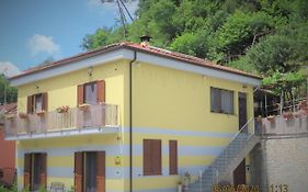 B&B Amici